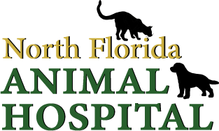 North Florida Animal Hospital